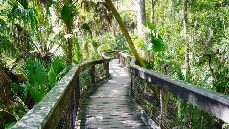 5 Florida State Parks Locals Skip (and 4 They Visit Again and Again)