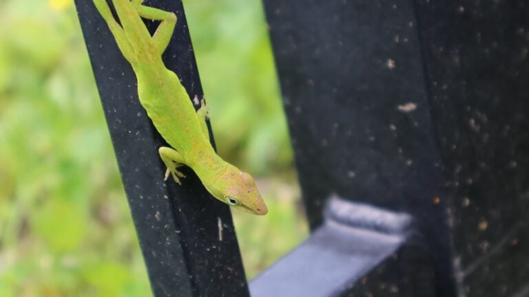 15 Dead Giveaways That Someone Just Moved to Florida