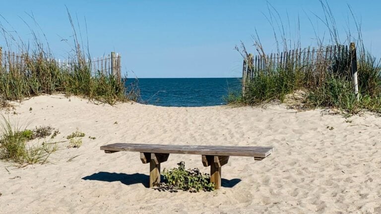 8 South Carolina Beach Towns Locals Love (and 3 Tourists Overrun)