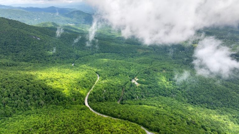 12 North Carolina Surprises Visitors Never See Coming