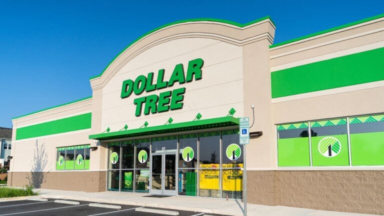 8 Dollar Tree Summer Finds Florida Shoppers Grab (and 4 to Skip)
