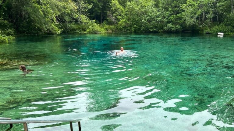 6 Florida Springs Locals Avoid (and 3 They Pack Their Cooler For)