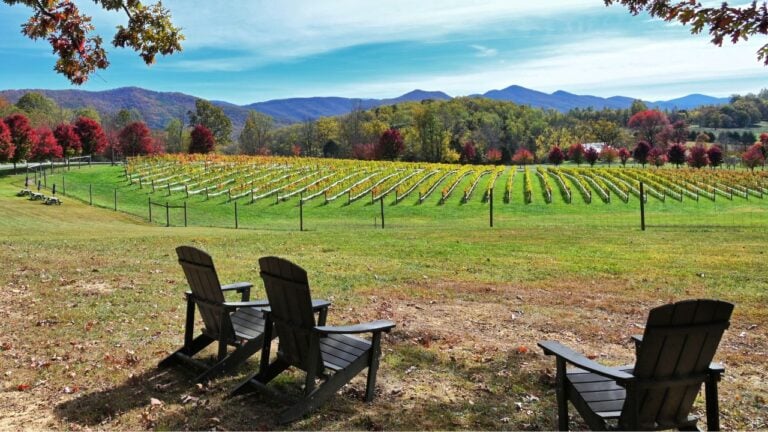 8 Virginia Wine Country Towns Locals Love (and 3 Tourists Overrun)