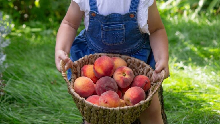 12 Things Georgia Grandparents Still Do That Grandkids Find Baffling