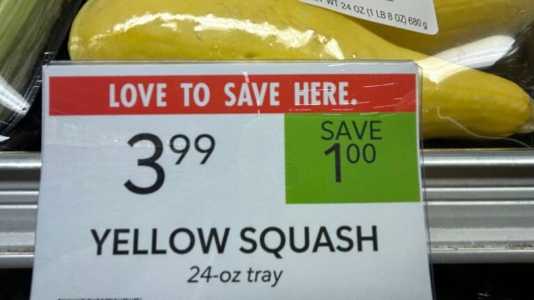 8 Publix Deals Tennessee Shoppers Wish They’d Grabbed Sooner