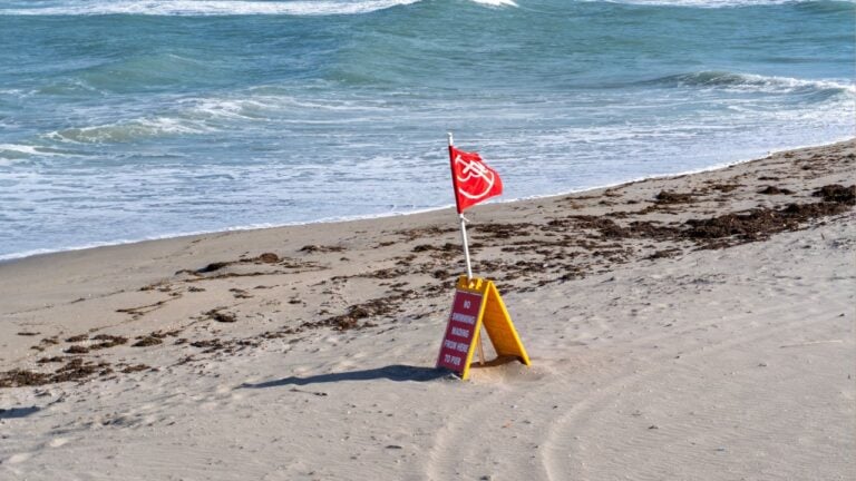 16 Things Floridians Refuse to Do in August No Matter What