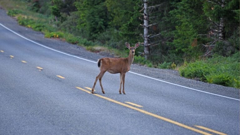 9 Things That Surprise Newcomers Who Move to Michigan