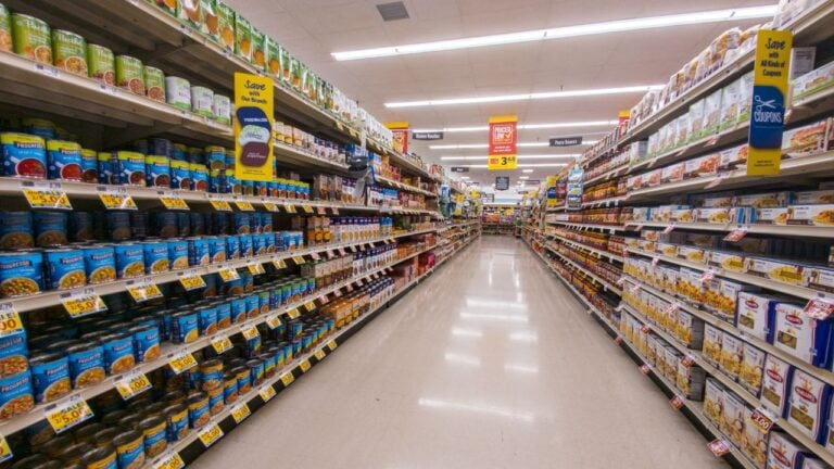 Does Food Lion Take EBT? What North Carolina SNAP Shoppers Should Know in 2026