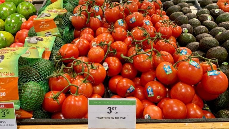 Does Publix Price Match in 2026? What Florida Shoppers Should Know