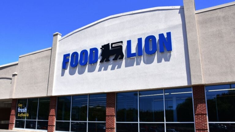9 Food Lion BOGO Deals Worth the Trip for Tennessee Shoppers