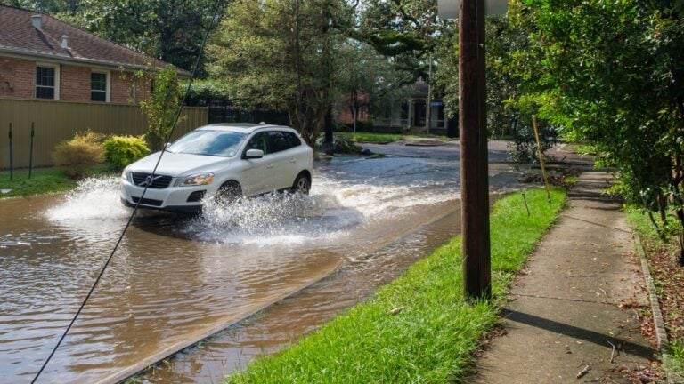 9 Unwritten Rules of Driving in Louisiana That Newcomers Learn the Hard Way