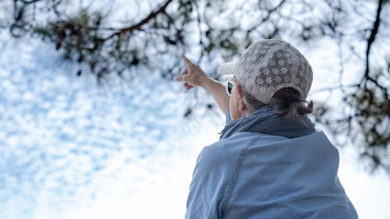 Fact or Fiction? 10 Pieces of Weather Lore South Carolina Grandparents Swore By