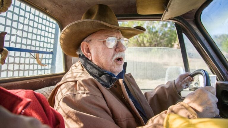 How Much Does It Cost to Renew Your Driver’s License in Texas in 2026?