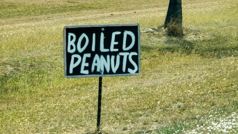 11 Culture Shocks People Experience When Moving to South Carolina