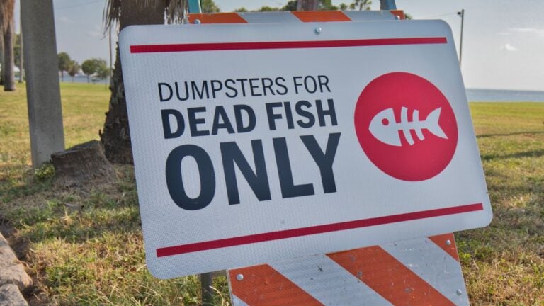 11 Things Floridians Do in August Without Realizing It’s Not Normal Anywhere Else