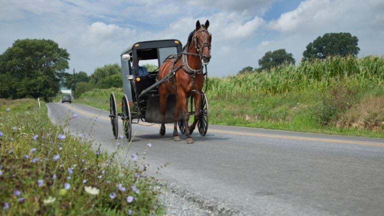 How Well Do You Know Pennsylvania Amish Country? Find Out With This Quiz