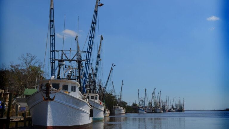 8 Georgia Coastal Towns Locals Love (and Tourists Overrun)