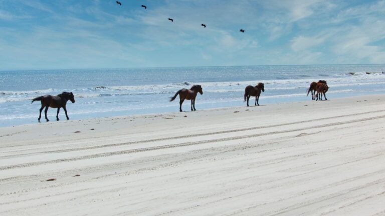 8 North Carolina Beach Towns Tourists Are Slowly Ruining for Everyone Else