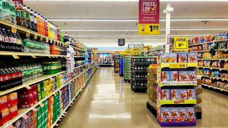 9 Food Lion Perks South Carolina Shoppers Over 60 Keep Missing