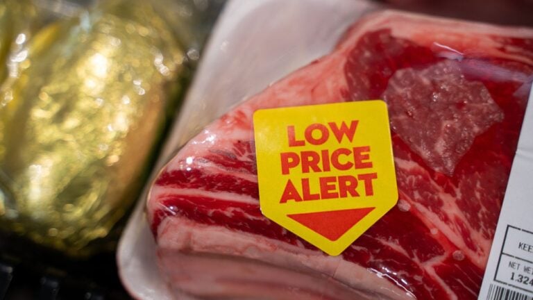 5 Food Lion Quirks Employees Wish Virginia Shoppers Knew