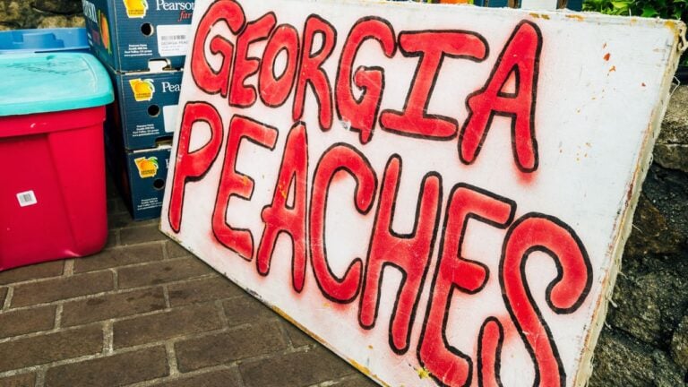 9 Arguments Georgians and South Carolinians Will Never Settle