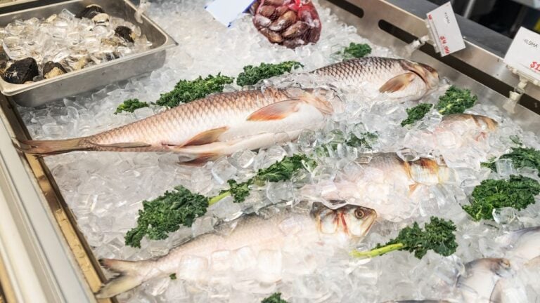 8 Warning Signs Floridians Buying Seafood Shouldn’t Ignore
