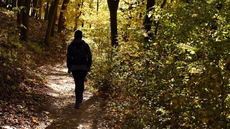 9 Things in New York’s Woods That Are More Dangerous Than Residents Think