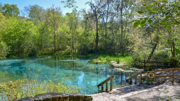 10 Florida Springs Locals Go To Instead of the Beach