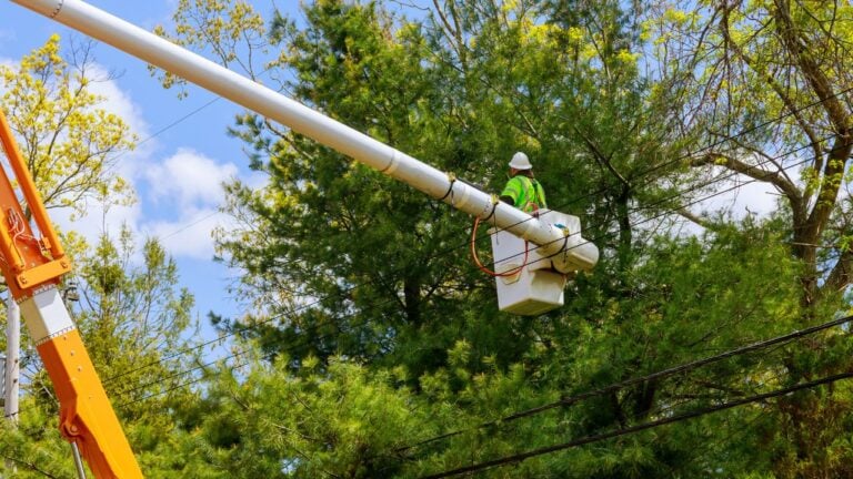 9 Things Pennsylvania Utility Crews Can Legally Do in Your Yard Without Asking First