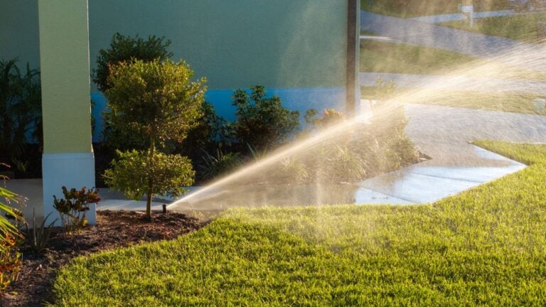 6 Georgia Watering Mistakes That Can Cost Homeowners a Fine