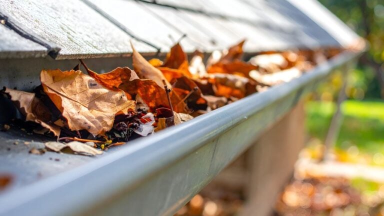 9 Things Pennsylvanians Put Off in August That Cost Them All Winter