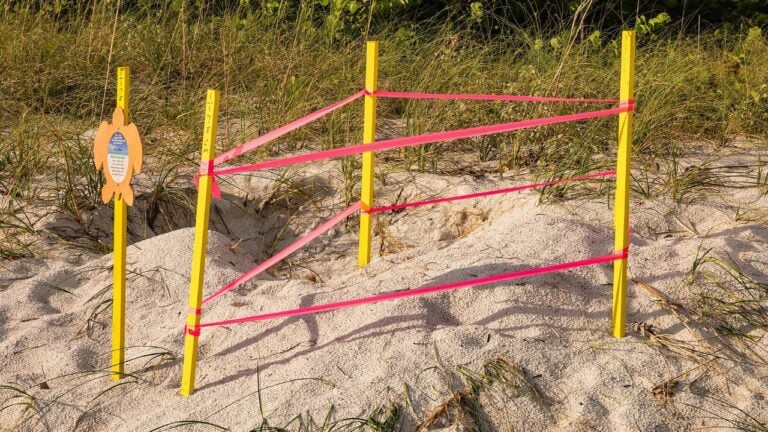 4 Things Floridians Can’t Wait to Stop Doing When August Ends