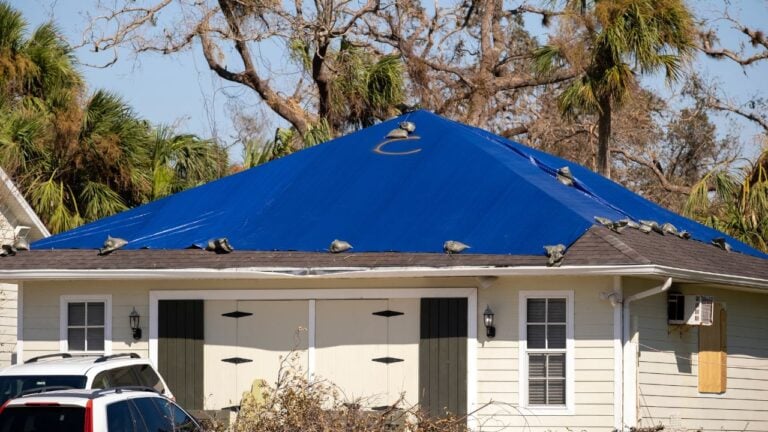 2 Florida Home Repairs That Cost Much More in Hurricane Season