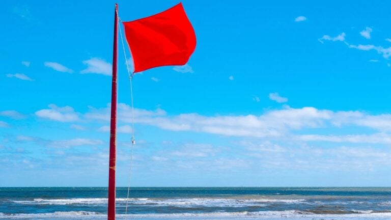 8 Beach Rules Florida Locals Follow That Tourists Break in Minutes