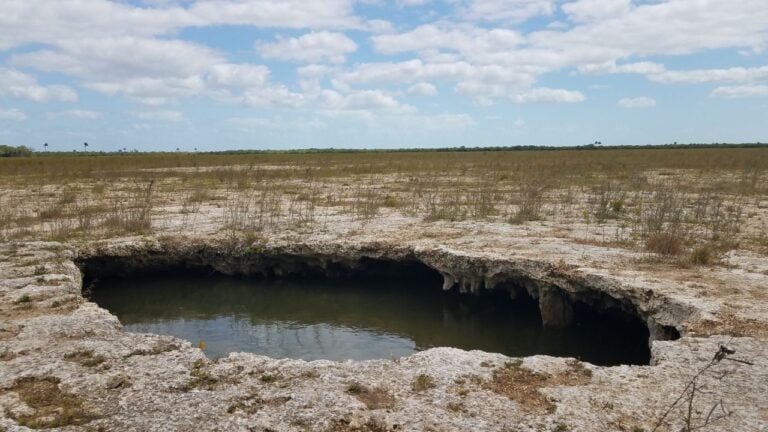 9 Things Floridians Never Say Out Loud About Their Own State