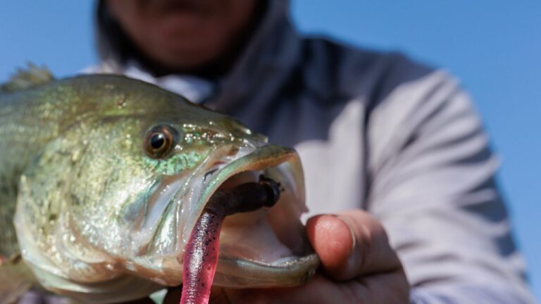 9 Texas Hunting and Fishing License Rules That Trip Up Even Longtime Residents