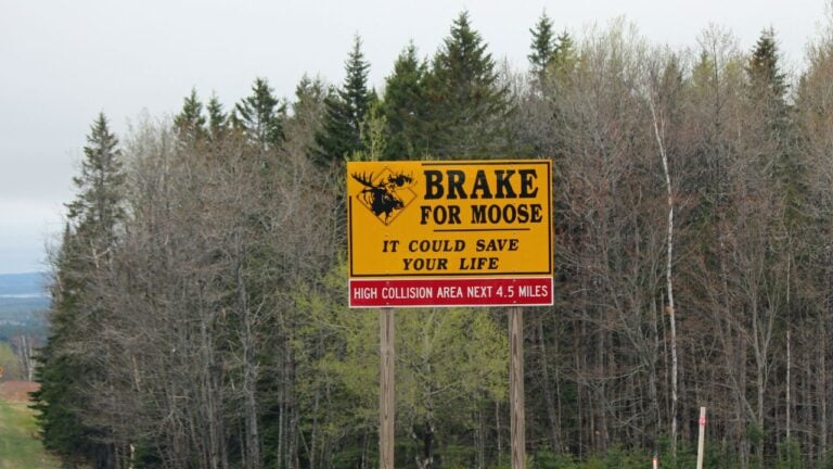 9 Things Nobody Warns You About Before Moving to Maine
