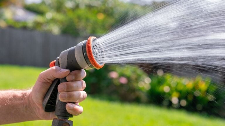 8 California Lawn and Water Rules Homeowners Get Fined For