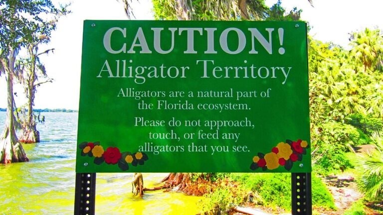9 Florida State Park Rules Regulars Rarely Break but Tourists Do
