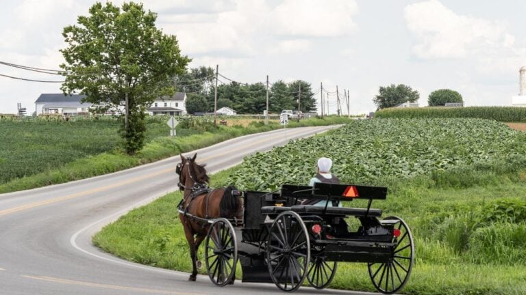 9 Pennsylvania Amish Country Stops Locals Recommend
