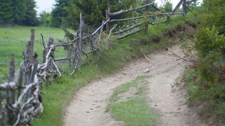9 Virginia Easement Mistakes That Cost Rural Property Owners the Most