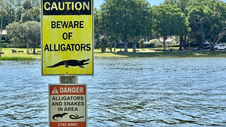 9 Warning Signs Tourists Take Seriously That Floridians Walk Right Past