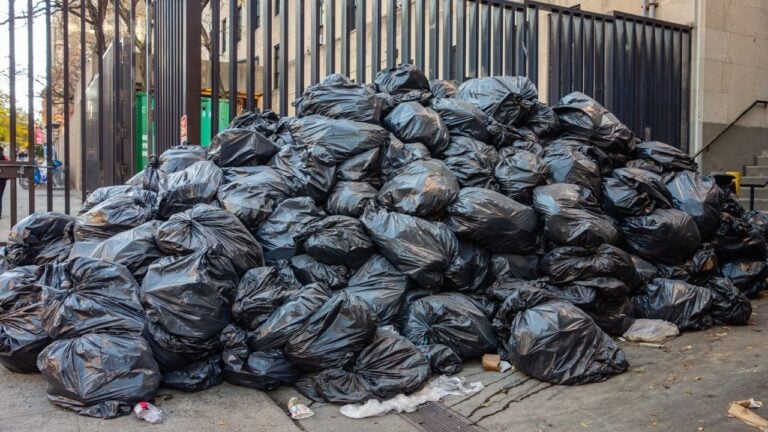 7 New York City Sidewalk Rules Homeowners Get Fined For