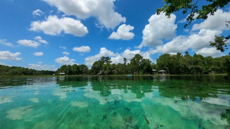 9 Florida Springs Locals Escape to When the Beaches Get Too Crowded
