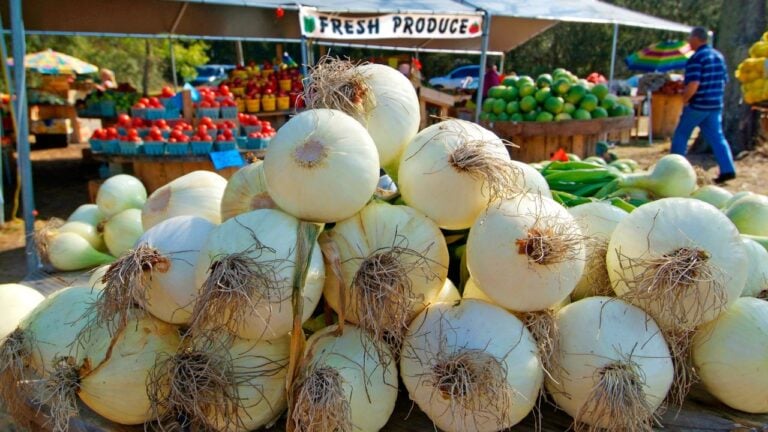 7 Farmers Market Mistakes That Cost Georgians Money Every Saturday