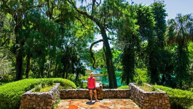 9 Florida State Parks Locals Visit Before Tourists Find Them
