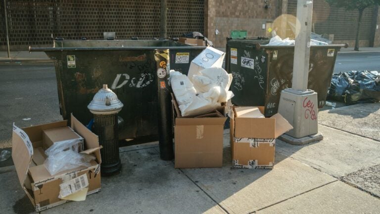 8 New York City Trash Rules That Sound Fake but Aren’t