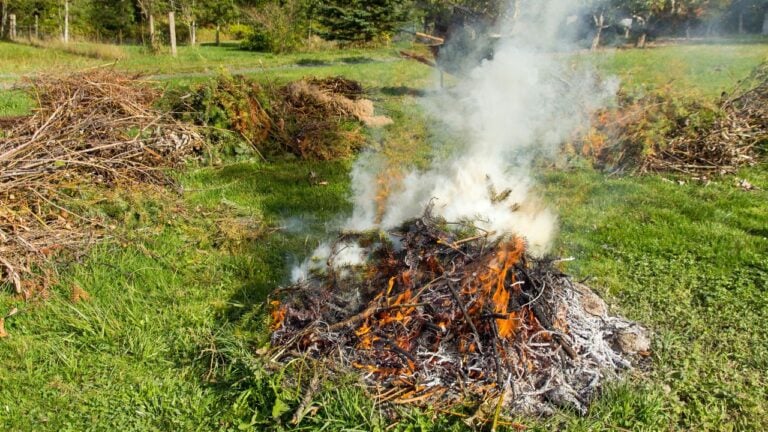 8 Yard Waste Burning Rules That Land Ohio Homeowners in Trouble