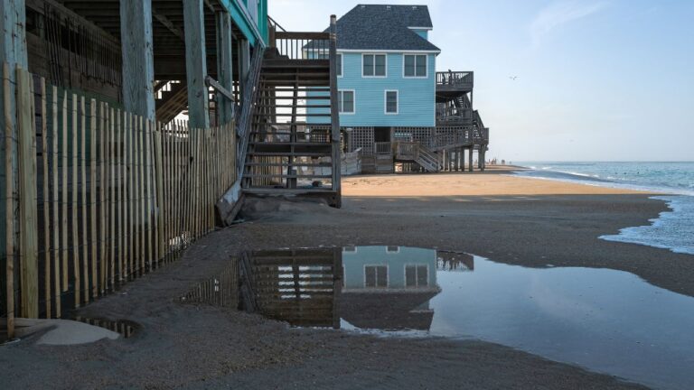 8 Reasons North Carolina Homeowners Get Dropped by Their Insurance Company