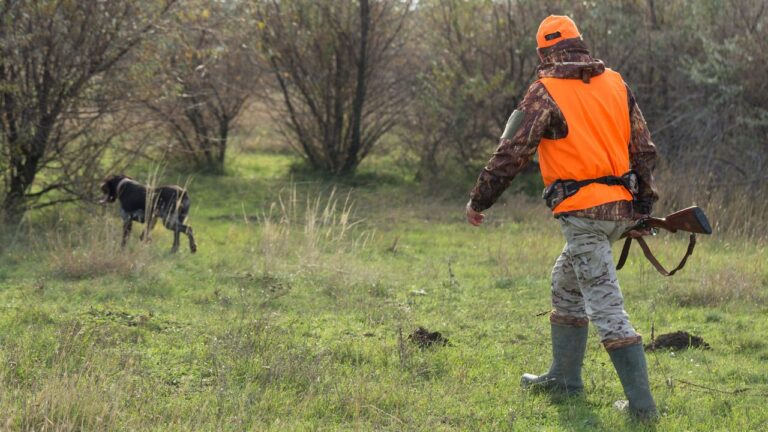 8 Tennessee Hunting Rules That Cost First-Timers Their License